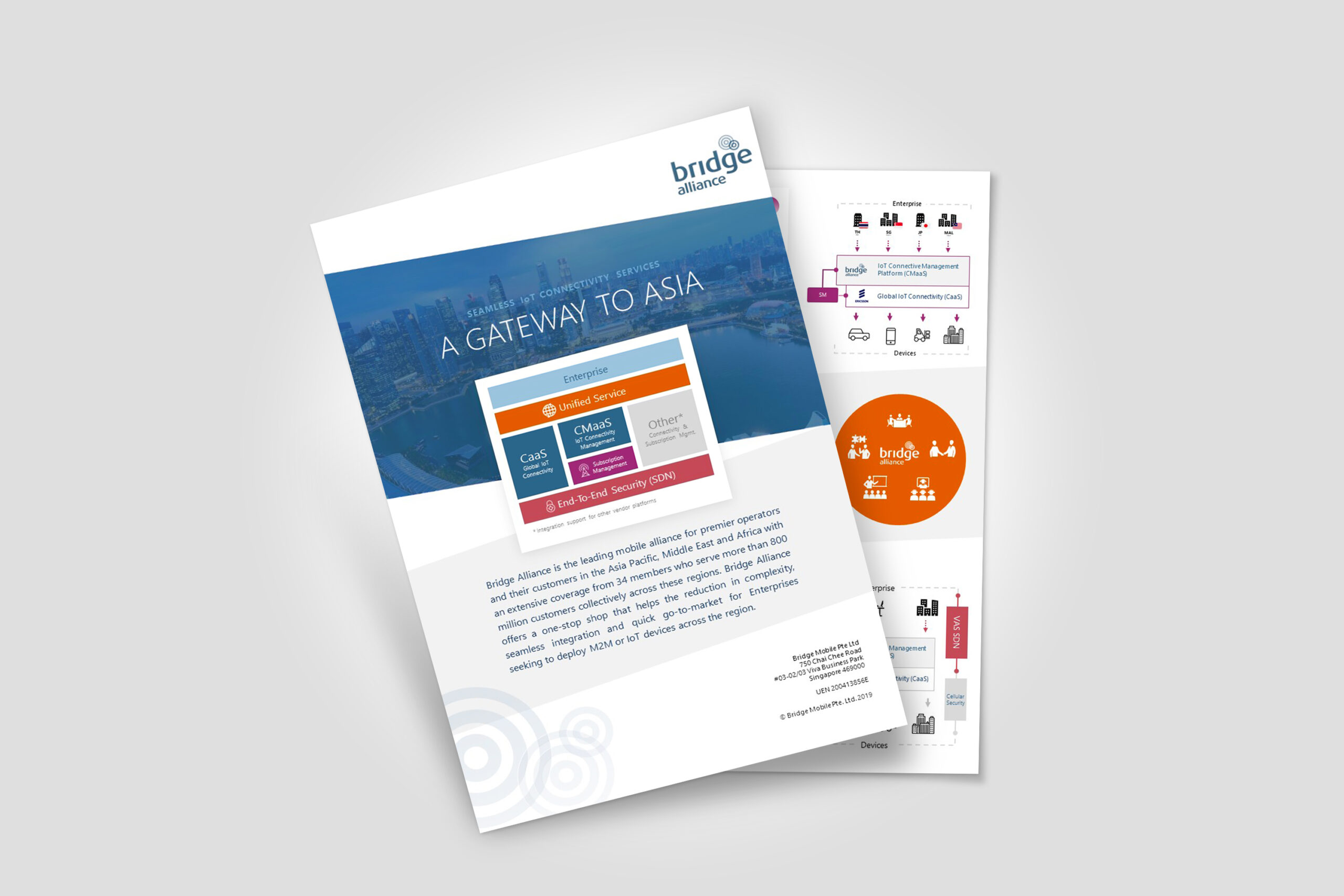 Bridge Alliance: Print & Deck